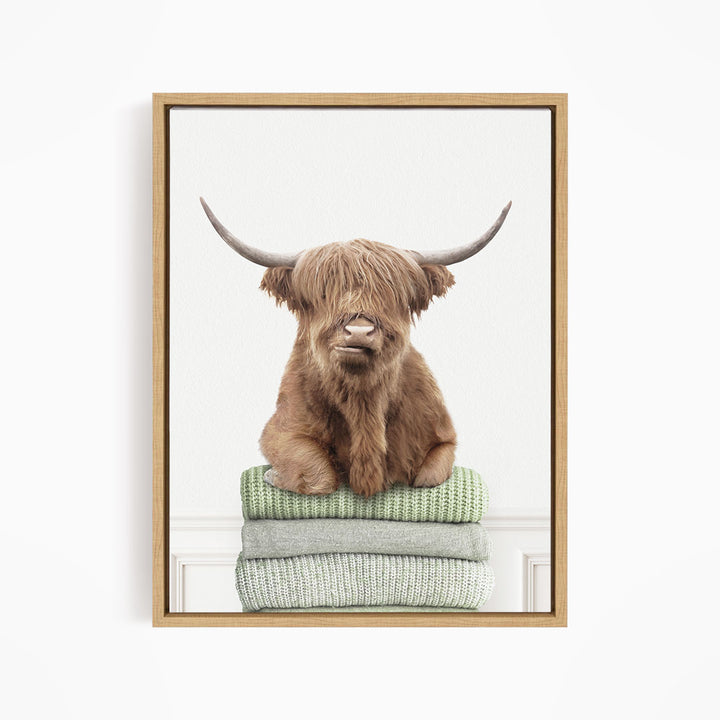 Highland Cow on Folded Sweaters - Simple White Wall