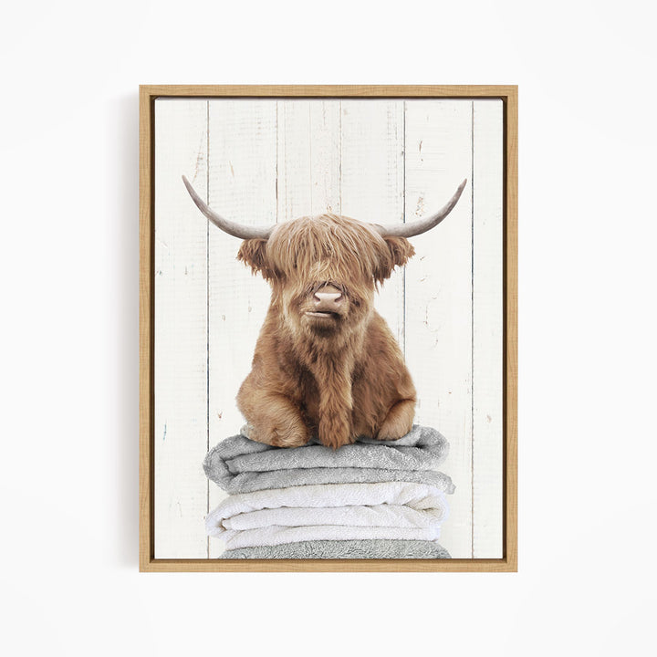 Highland Cow on Folded Towels - Farmhouse Wall