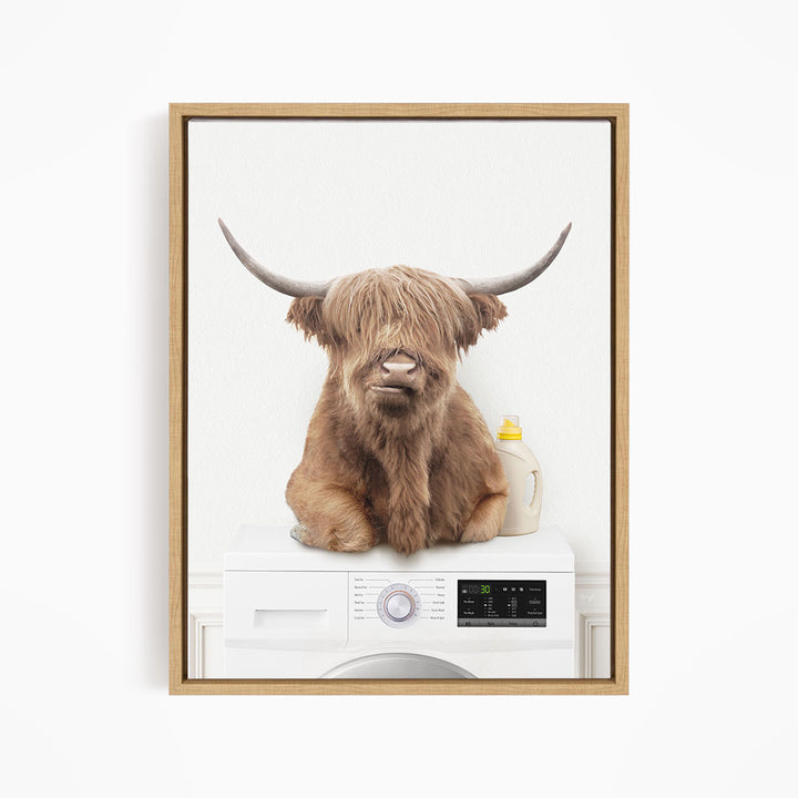 Highland Cow on Washing Machine - Simple White Wall