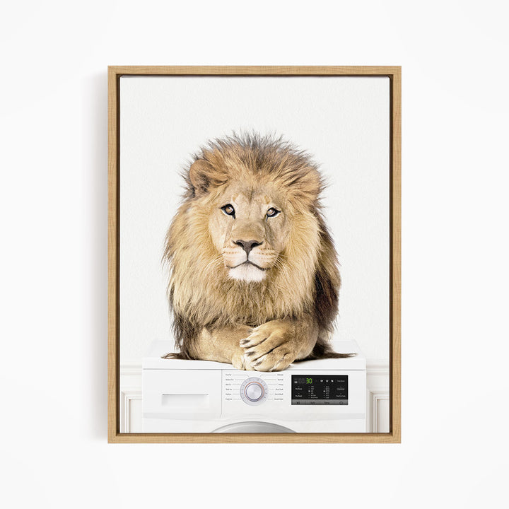 Lion on Washing Machine - Simple White Wall