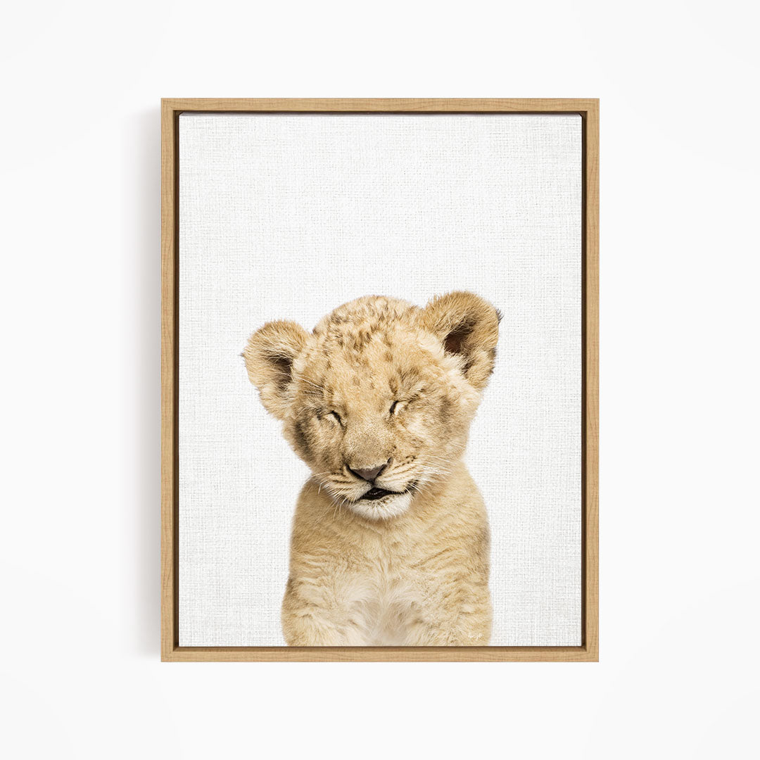 Lion Cub with Eyes Closed - Animal Portraits