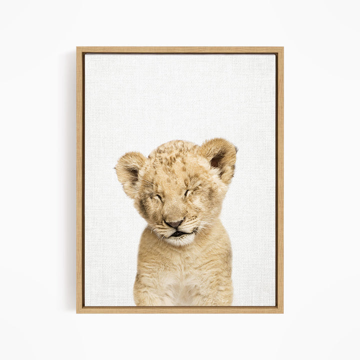 Lion Cub with Eyes Closed - Animal Portraits