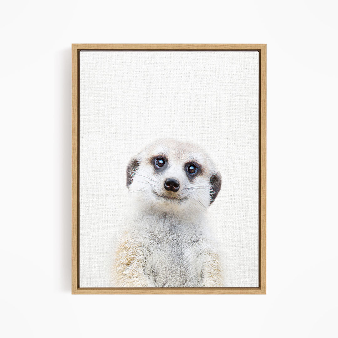 Meerkat - Animal Portraits
