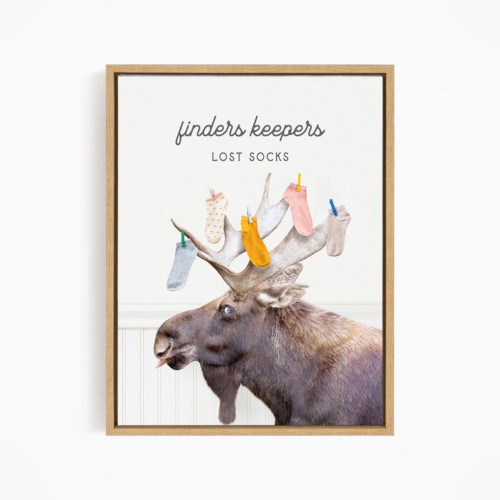 Moose - Finder Keepers Lost Laundry Socks