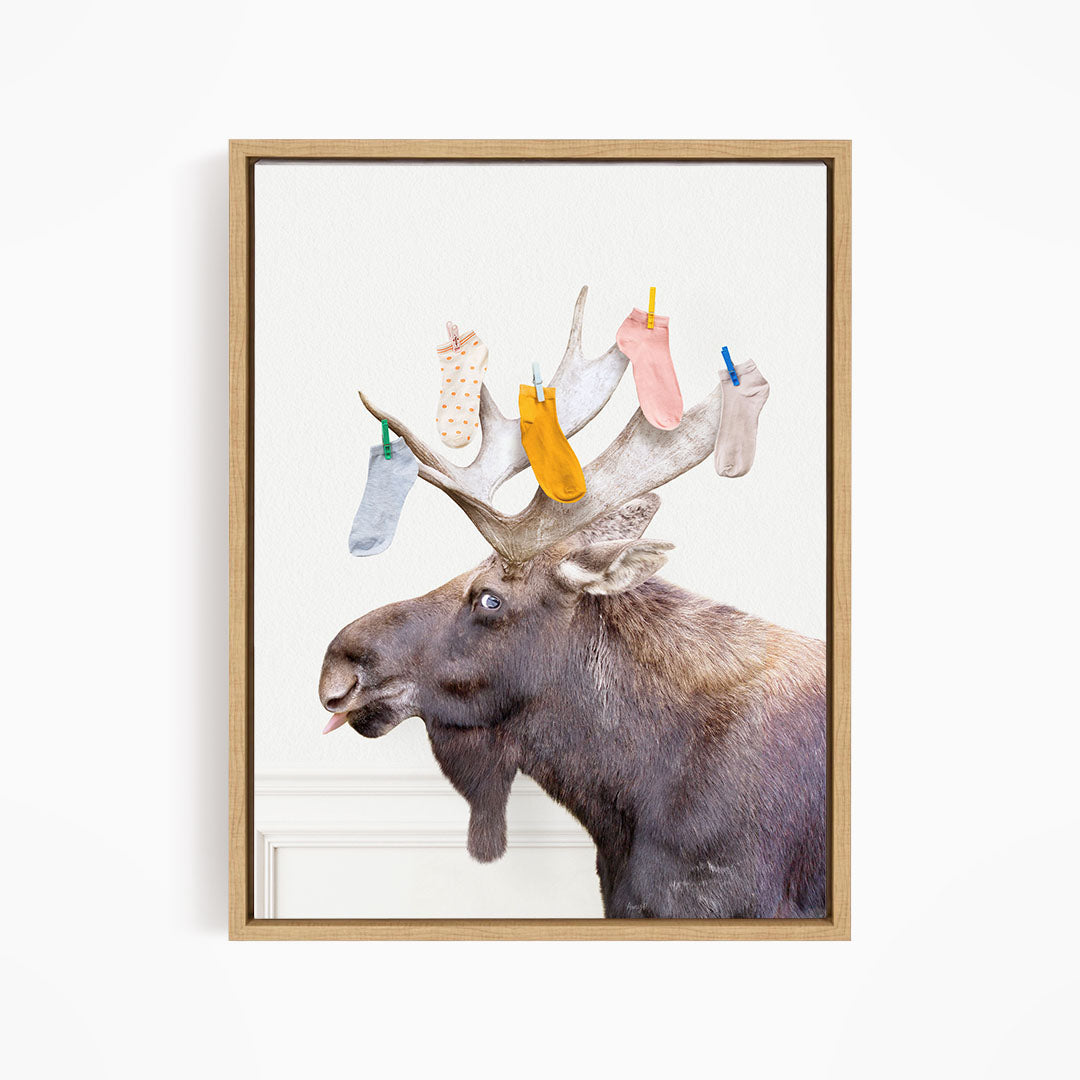 Moose - Lost Socks - Simple White Wall