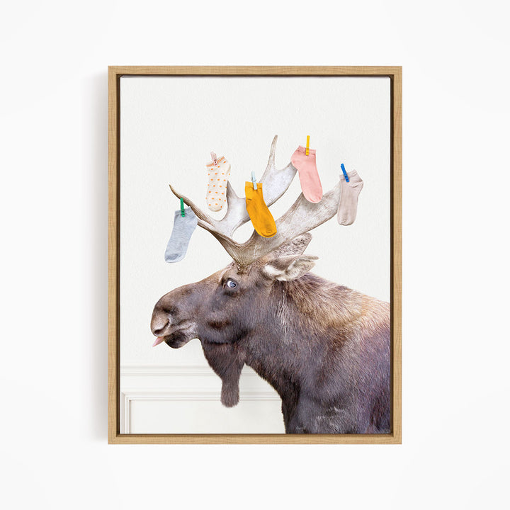Moose - Lost Socks - Simple White Wall