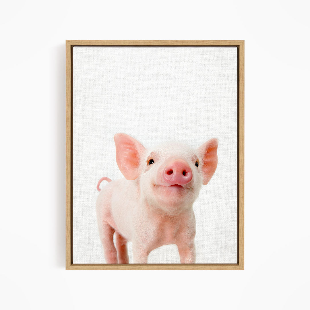 Piglet - Animal Portraits