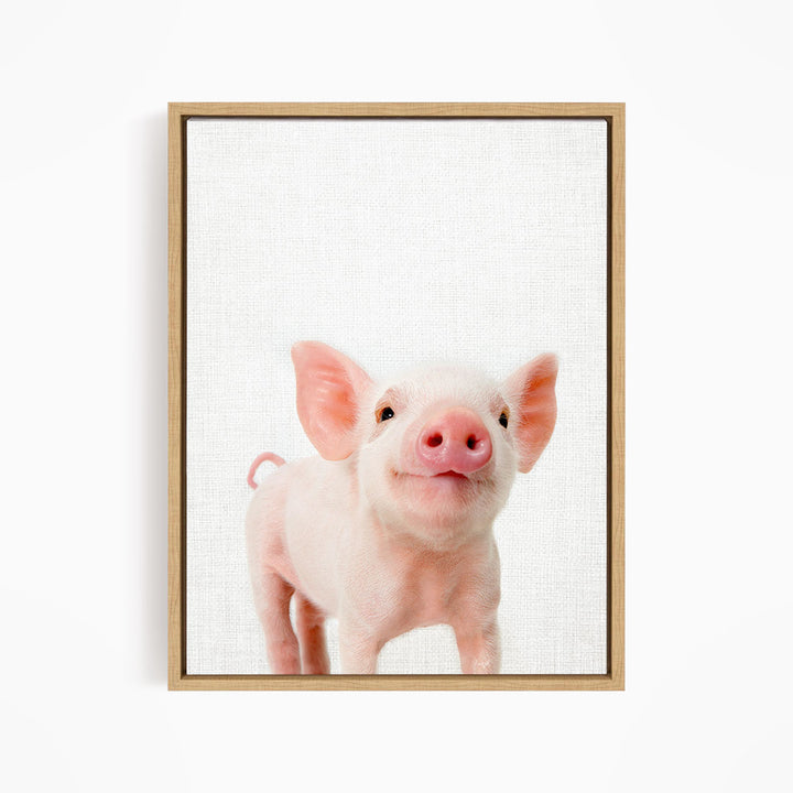 Piglet - Animal Portraits
