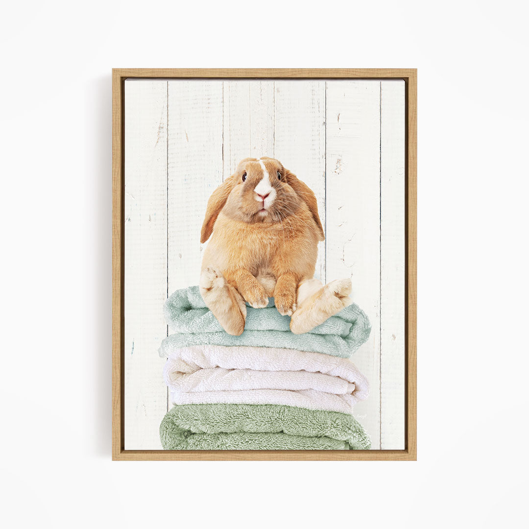 Pudgy Bunny on Folded Towels - Farmhouse Wall