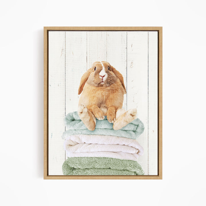Pudgy Bunny on Folded Towels - Farmhouse Wall