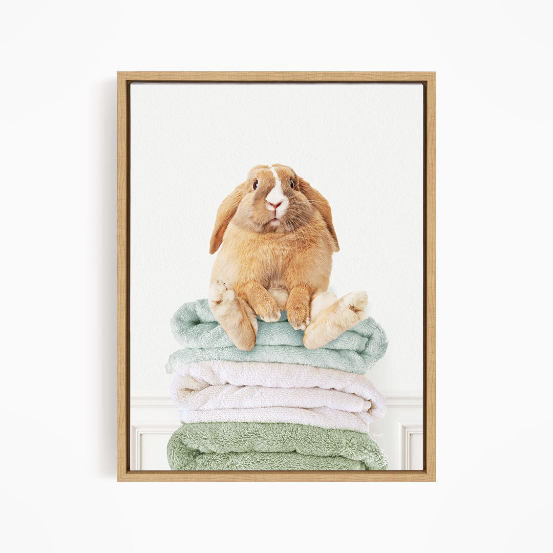 Pudgy Bunny on Folded Towels - Simple White Wall