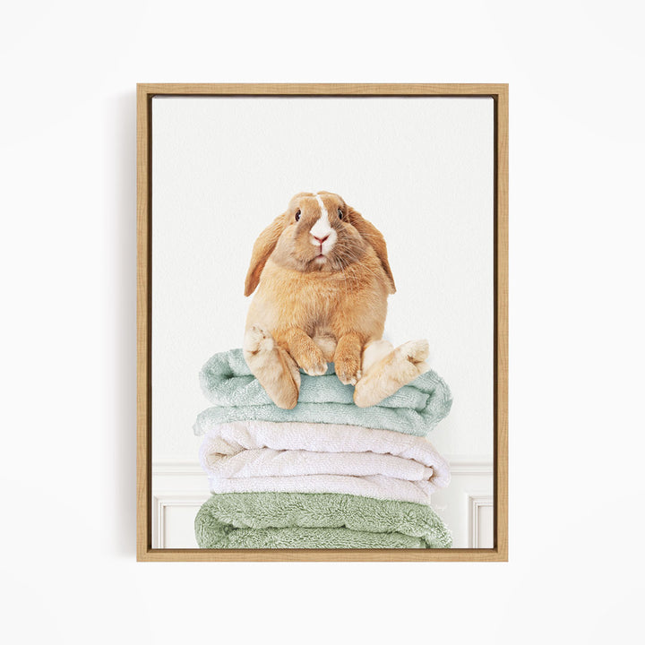 Pudgy Bunny on Folded Towels - Simple White Wall