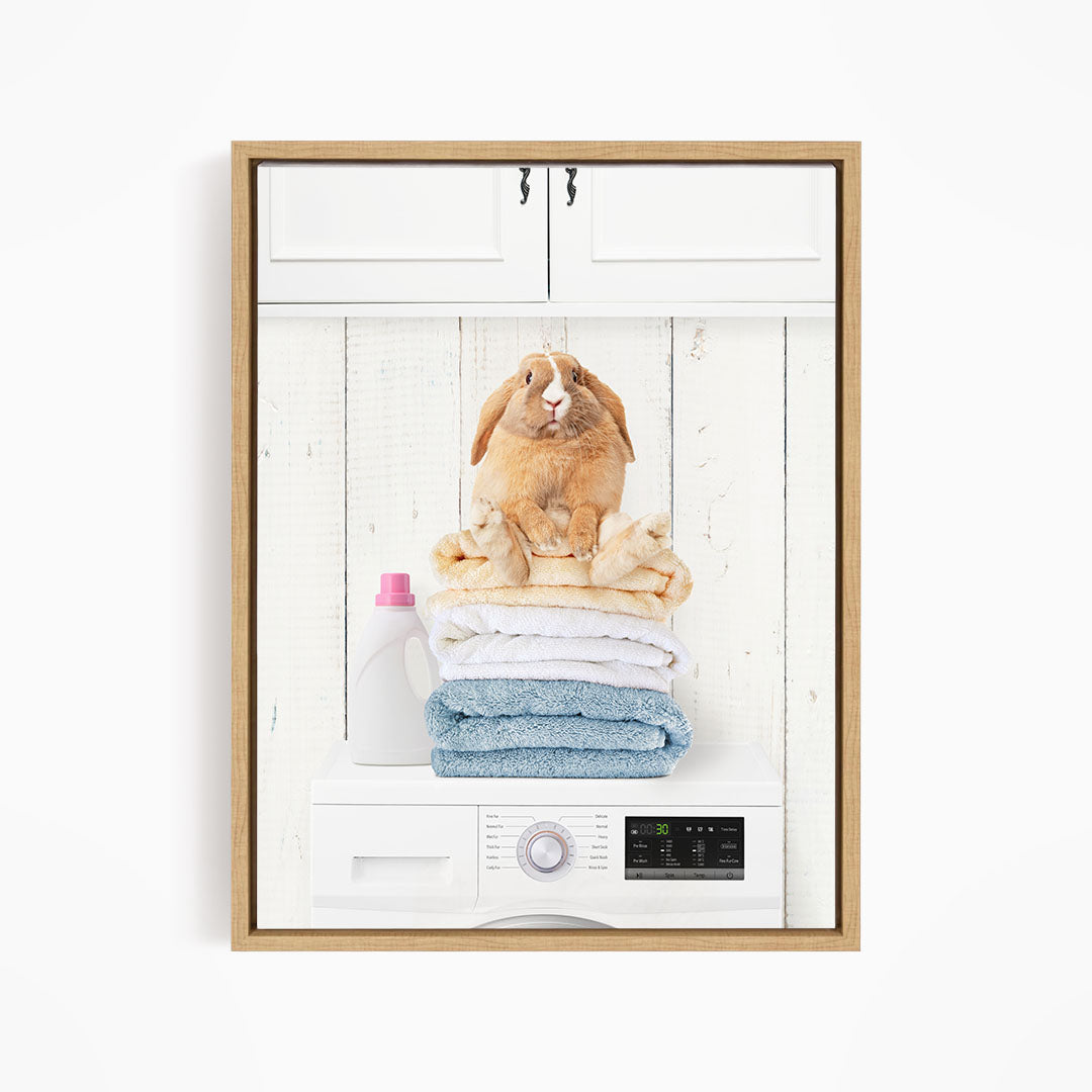 Pudgy Bunny on Folded Towels on Washing Machine - Farmhouse Wall