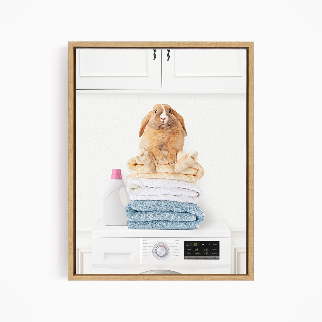 Pudgy Bunny on Folded Towels on Washing Machine - Simple White Wall