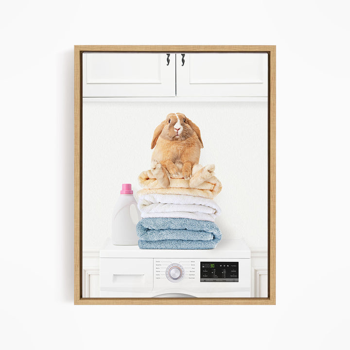 Pudgy Bunny on Folded Towels on Washing Machine - Simple White Wall