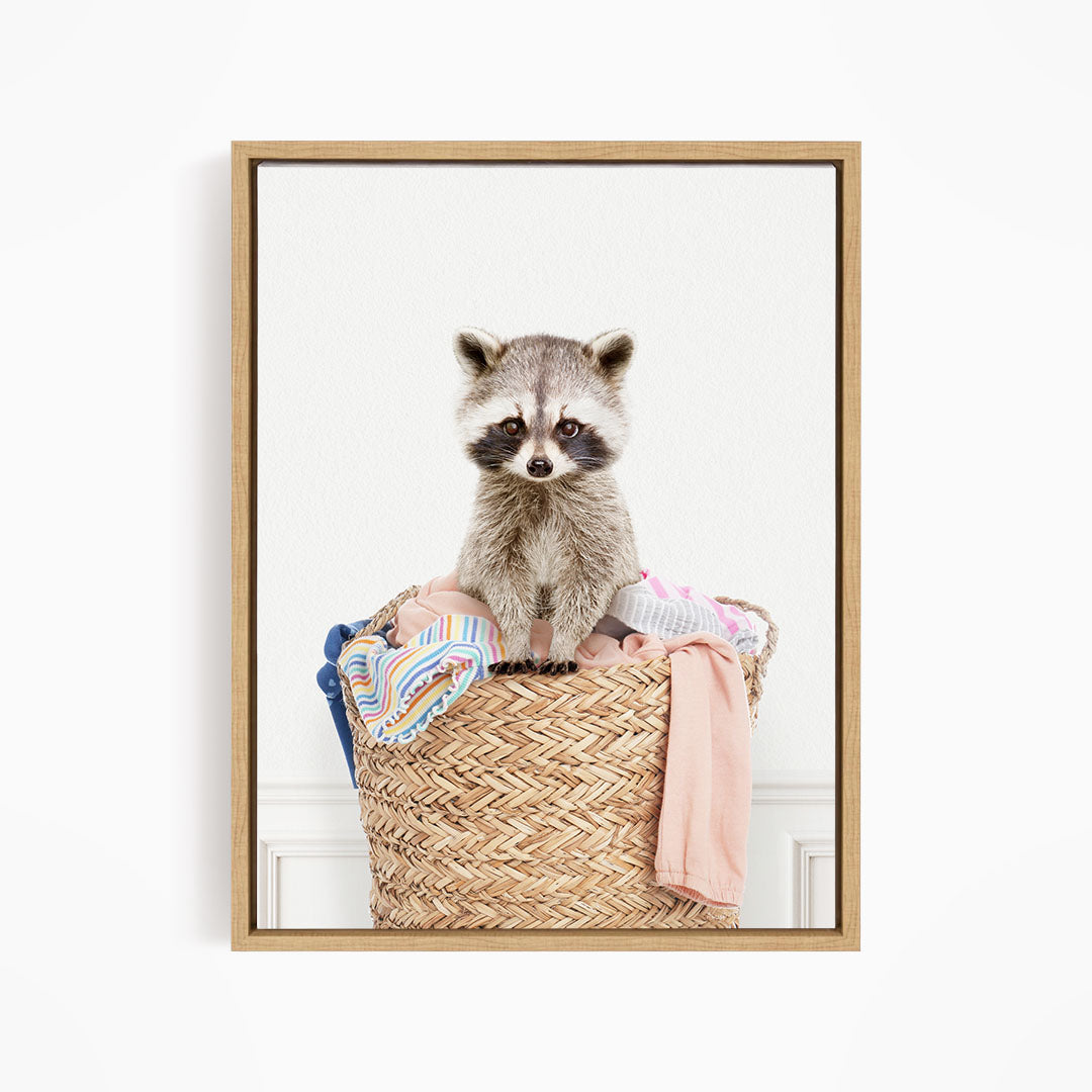 Baby Raccoon in Laundry Basket - Simple White Wall