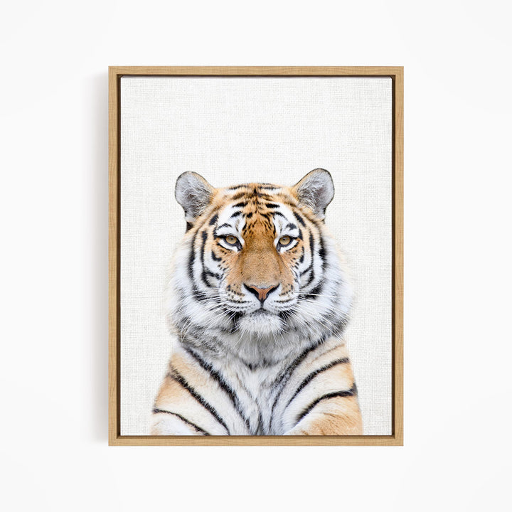 Bengal Tiger - Animal Portraits