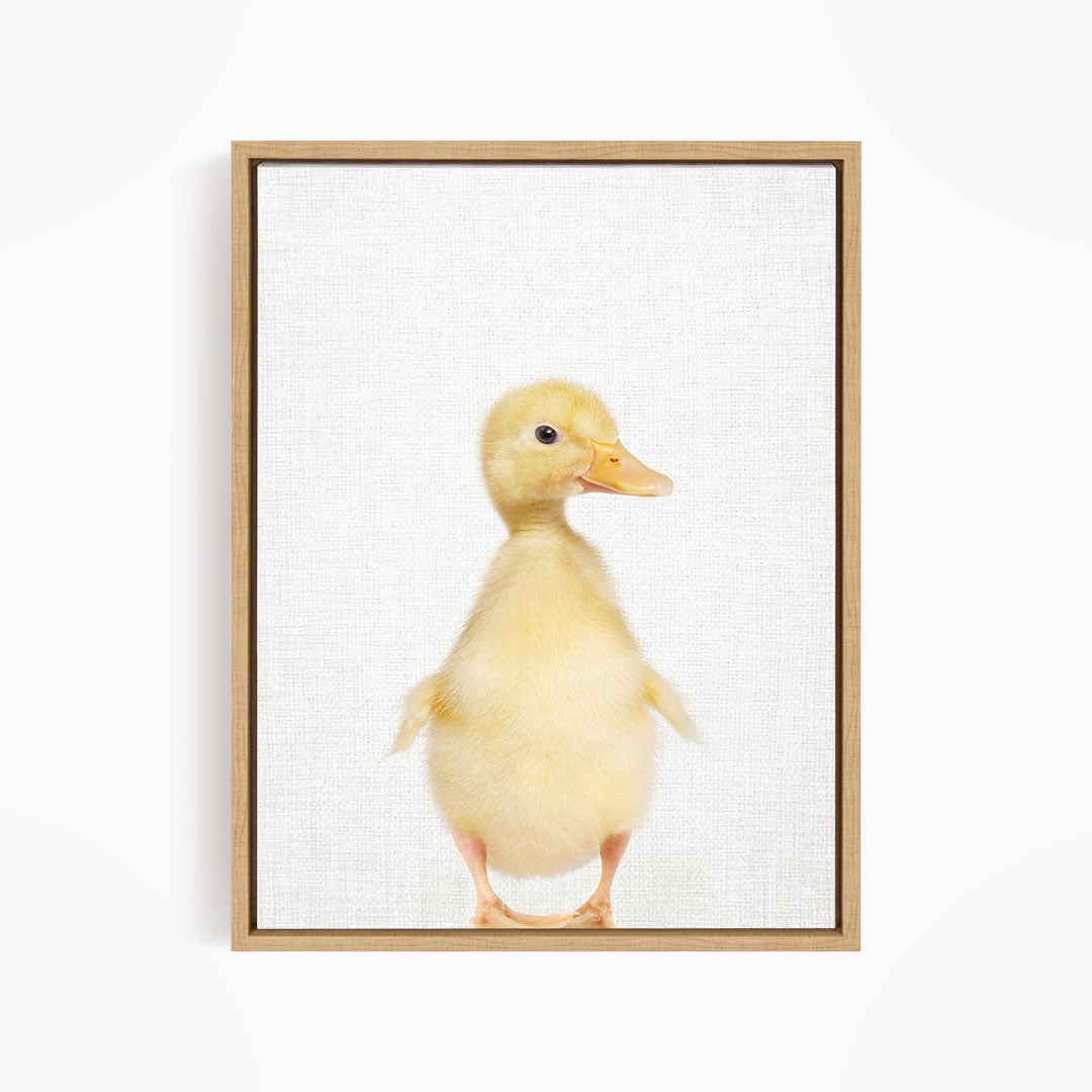 Yellow Ducky Side Glance - Animal Portraits