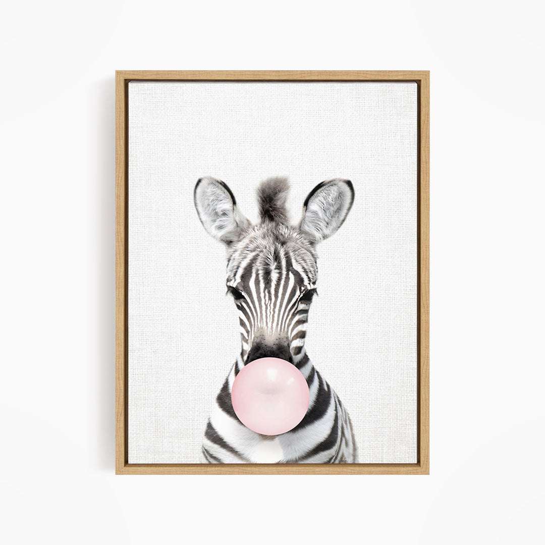 Baby Zebra Blowing Pink Bubble Gum