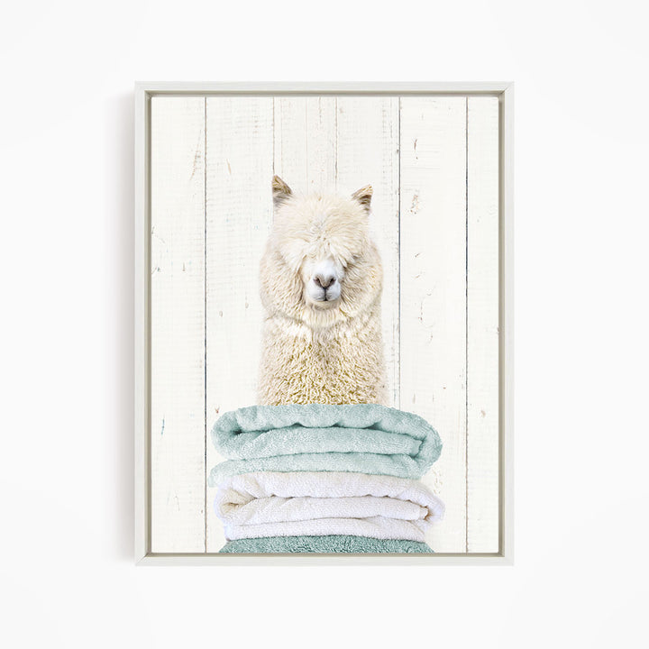 Alpaca on Folded Towels - Farmhouse Wall