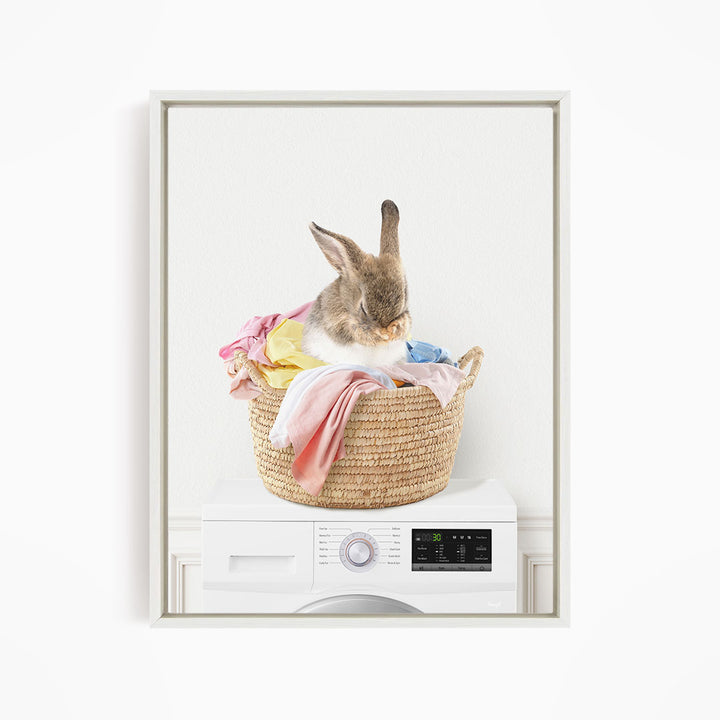 Bashful Bunny in Laundry Basket on Washing Machine- Simple White Wall