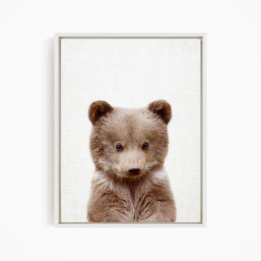 Bear Cub - Animal Portraits