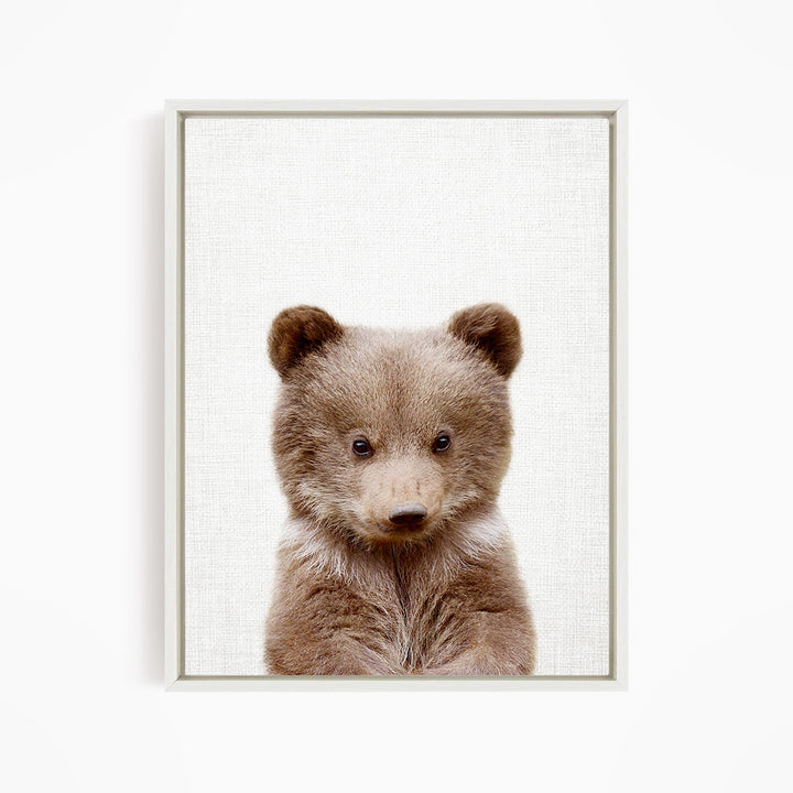 Bear Cub - Animal Portraits