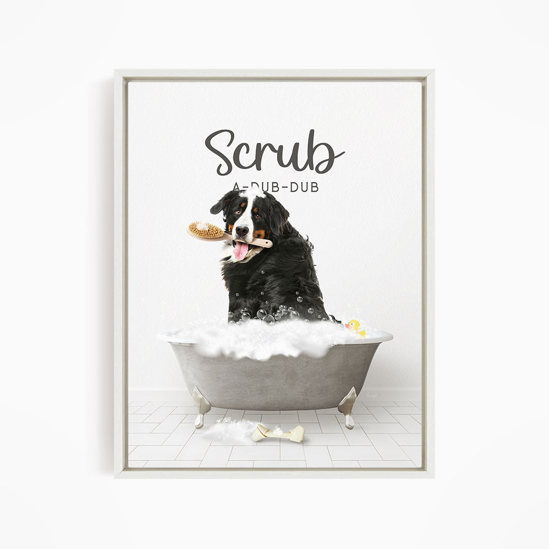 Bernese Mountain Dog Scrub A-Dub-Dub in Simple Gray Bath