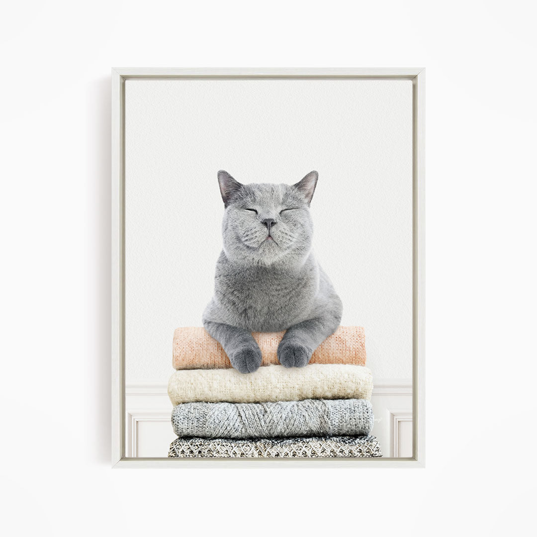 Cat on Sweaters - Simple White Wall