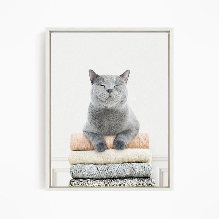 Cat on Sweaters - Simple White Wall