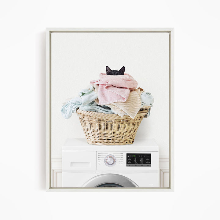 Cat in Laundry Basket on Washing Machine - Simple White Wall