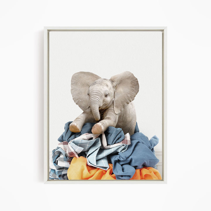 Baby Elephant on Laundry Clothes Pile - Simple White Wall