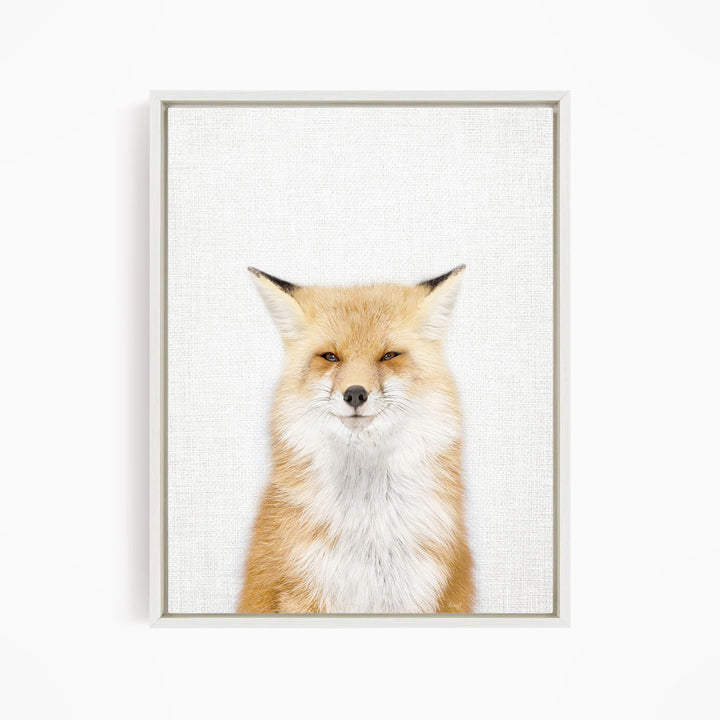 Smiling Fox - Animal Portraits