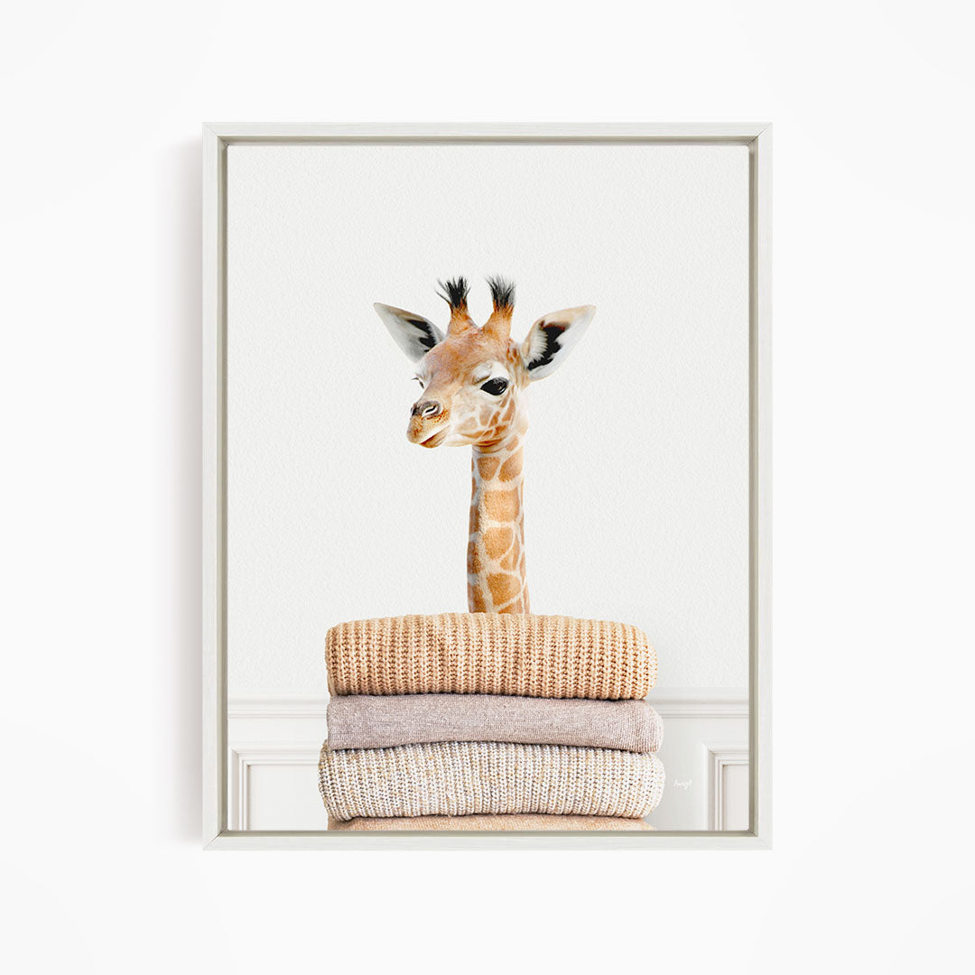 Baby Giraffe on Sweaters - Simple White Wall