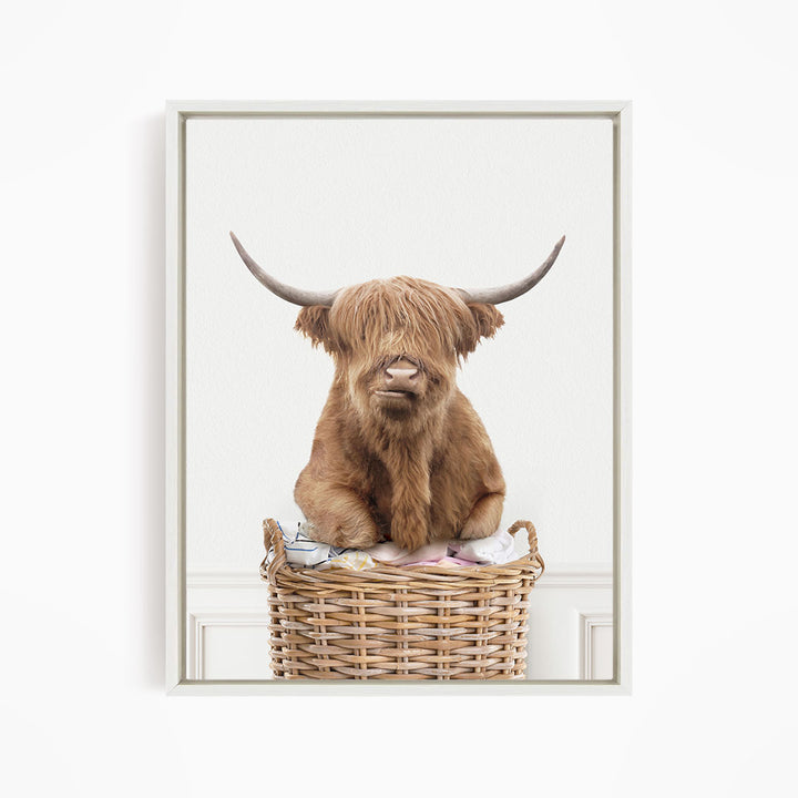 Highland Cow On Laundry Basket - Simple White Wall