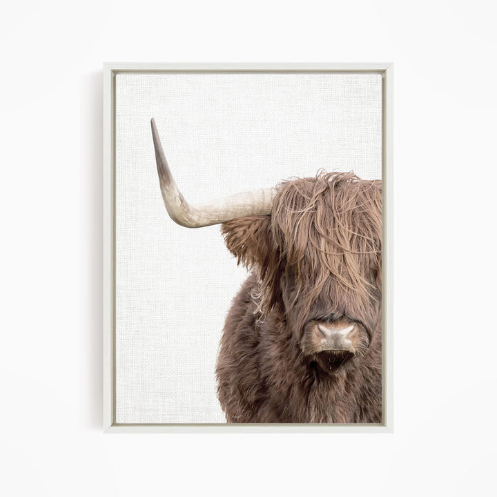 Highland Cow Off Center - Animal Portraits