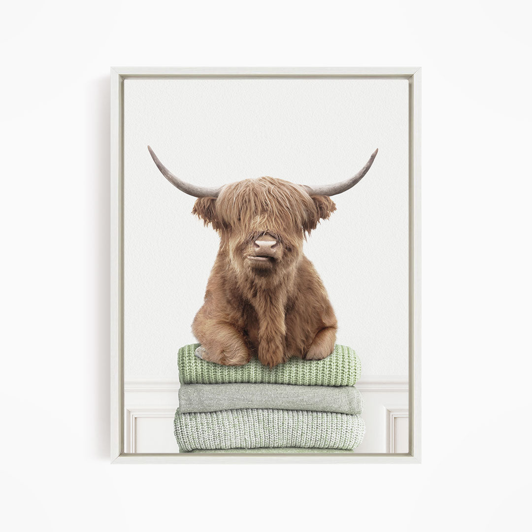 Highland Cow on Folded Sweaters - Simple White Wall