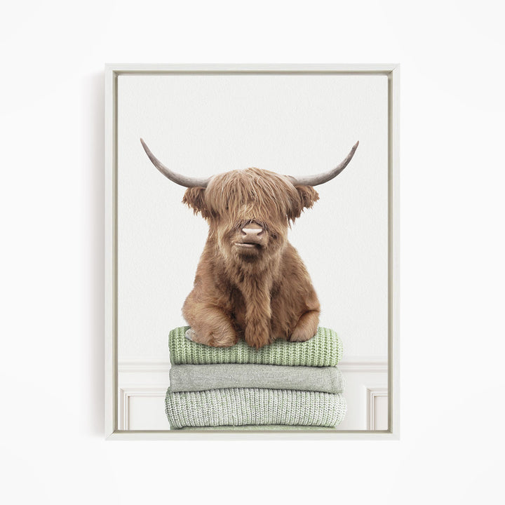 Highland Cow on Folded Sweaters - Simple White Wall