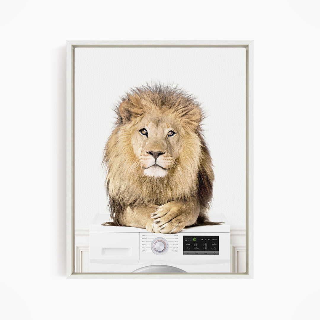 Lion on Washing Machine - Simple White Wall