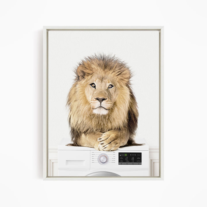 Lion on Washing Machine - Simple White Wall