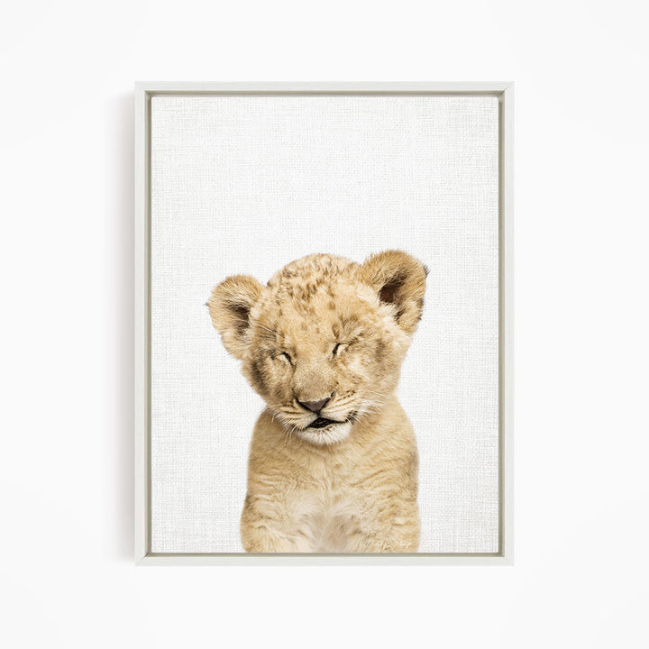 Lion Cub with Eyes Closed - Animal Portraits