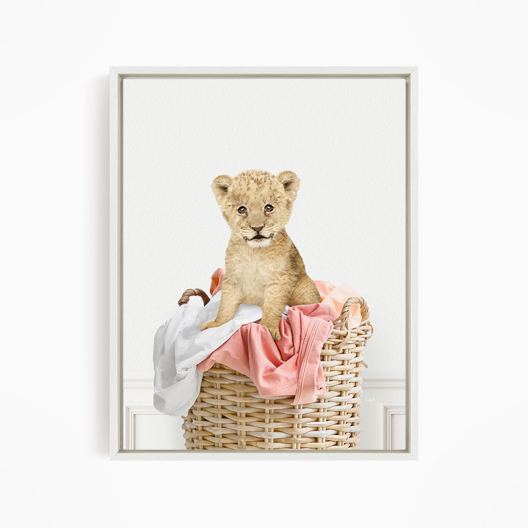Lion Cub in Laundry Basket - Simple White Wall