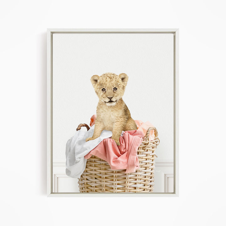 Lion Cub in Laundry Basket - Simple White Wall