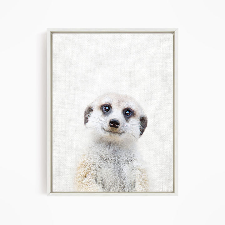 Meerkat - Animal Portraits