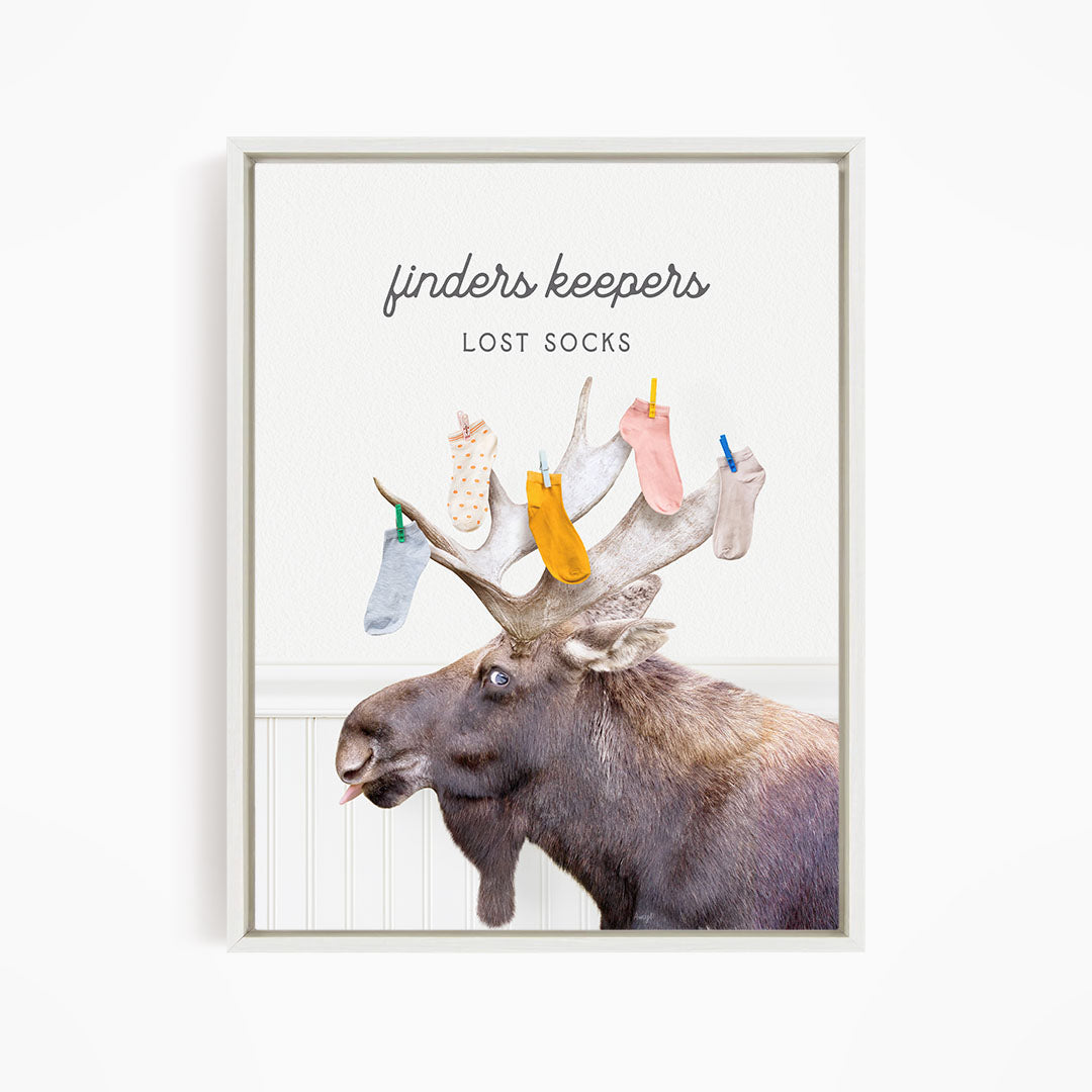Moose - Finder Keepers Lost Laundry Socks