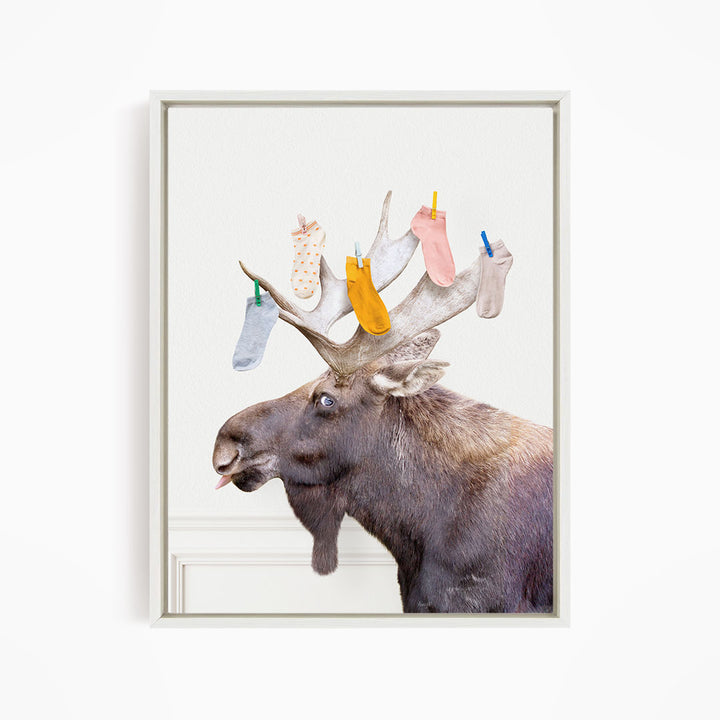 Moose - Lost Socks - Simple White Wall