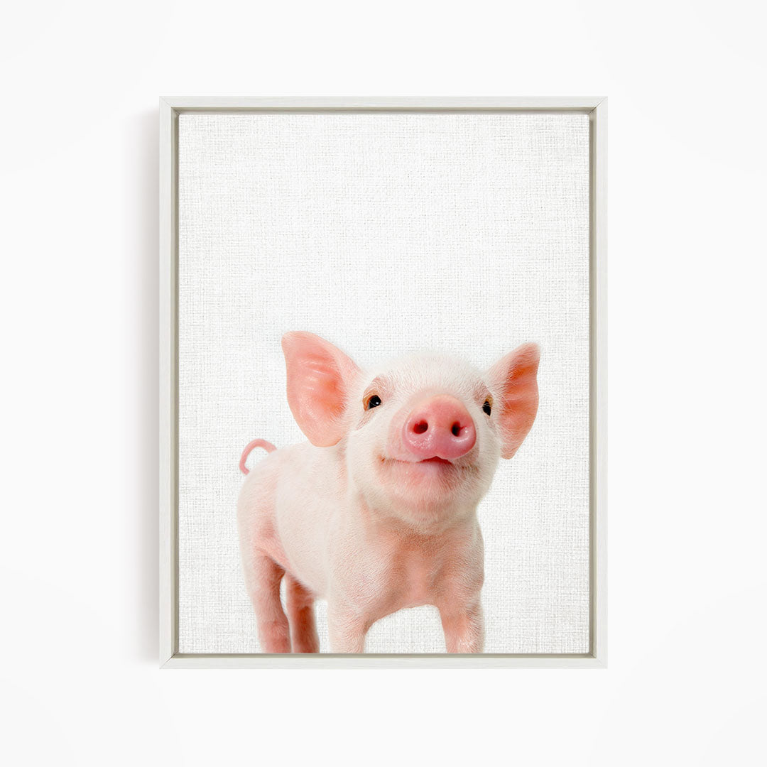 Piglet - Animal Portraits