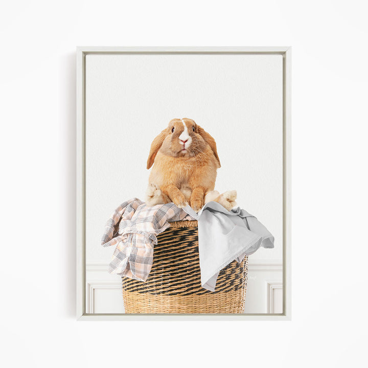 Pudgy Bunny in Laundry Basket - Simple White Wall