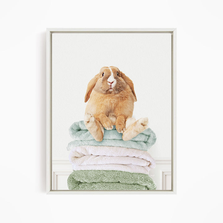 Pudgy Bunny on Folded Towels - Simple White Wall