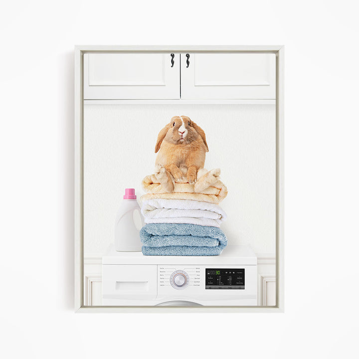 Pudgy Bunny on Folded Towels on Washing Machine - Simple White Wall